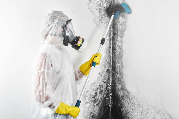 Best Biohazard Mold Removal  in Crawford, GA