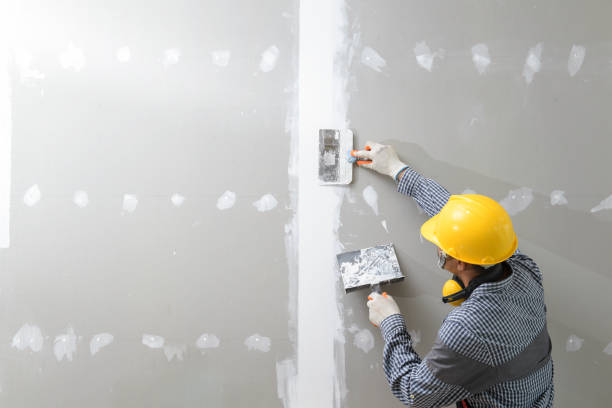 Best Attic Mold Removal  in Crawford, GA