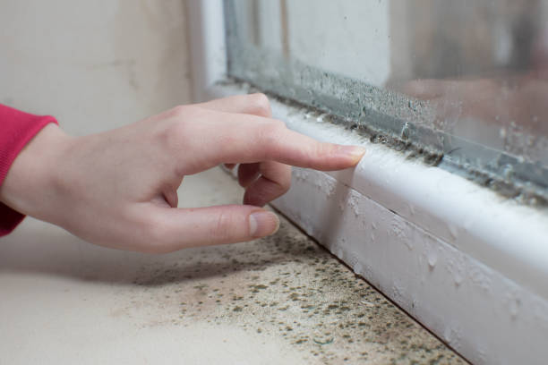 Best Dehumidification Services  in Crawford, GA